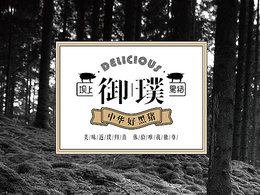 坝上黑猪包装设计方案