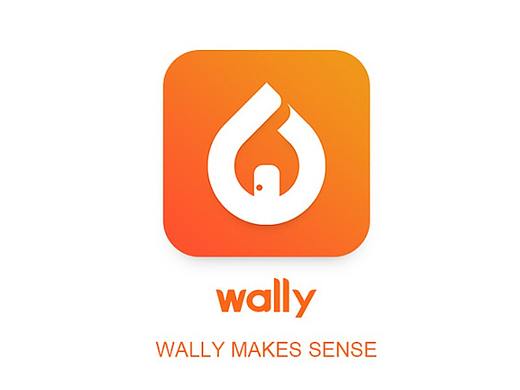 Wally智能家居设备~LOGO/UI设计~天猫淘宝京东电商设计