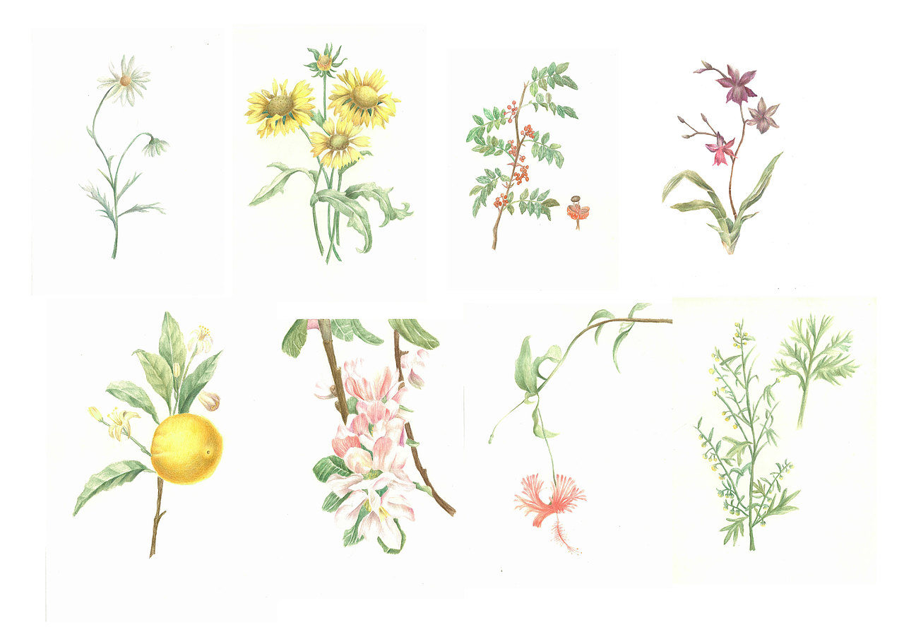 交互设计作品集2