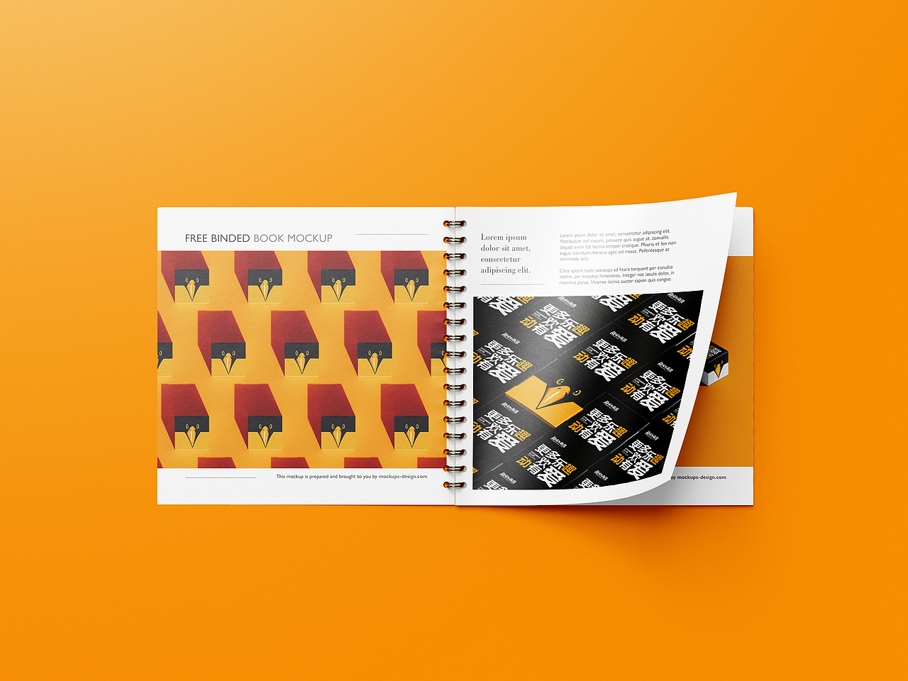 趣动萌鹰儿童KID运动品牌形象识别系统-上海因心（图ZMjYzODExNjQ4） - 品牌 - 站酷设计师INHEART上海因心原创素材 - 站酷ZCOOL