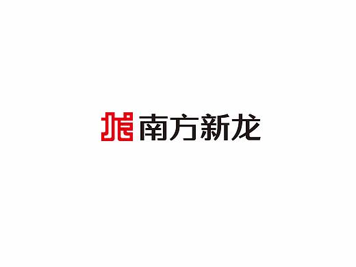 南方新龙（装饰）LOGO（个人主页-ZMjg3NjgxMDQ=） - Logo - 站酷设计师东集品牌设计原创素材 - 站酷ZCOOL
