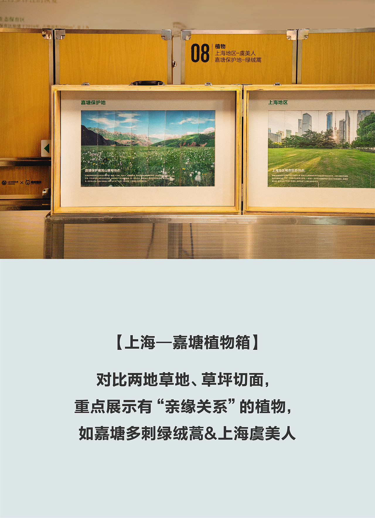 蚂蚁森林 移动的森林博物馆