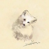 CJ0718的头像