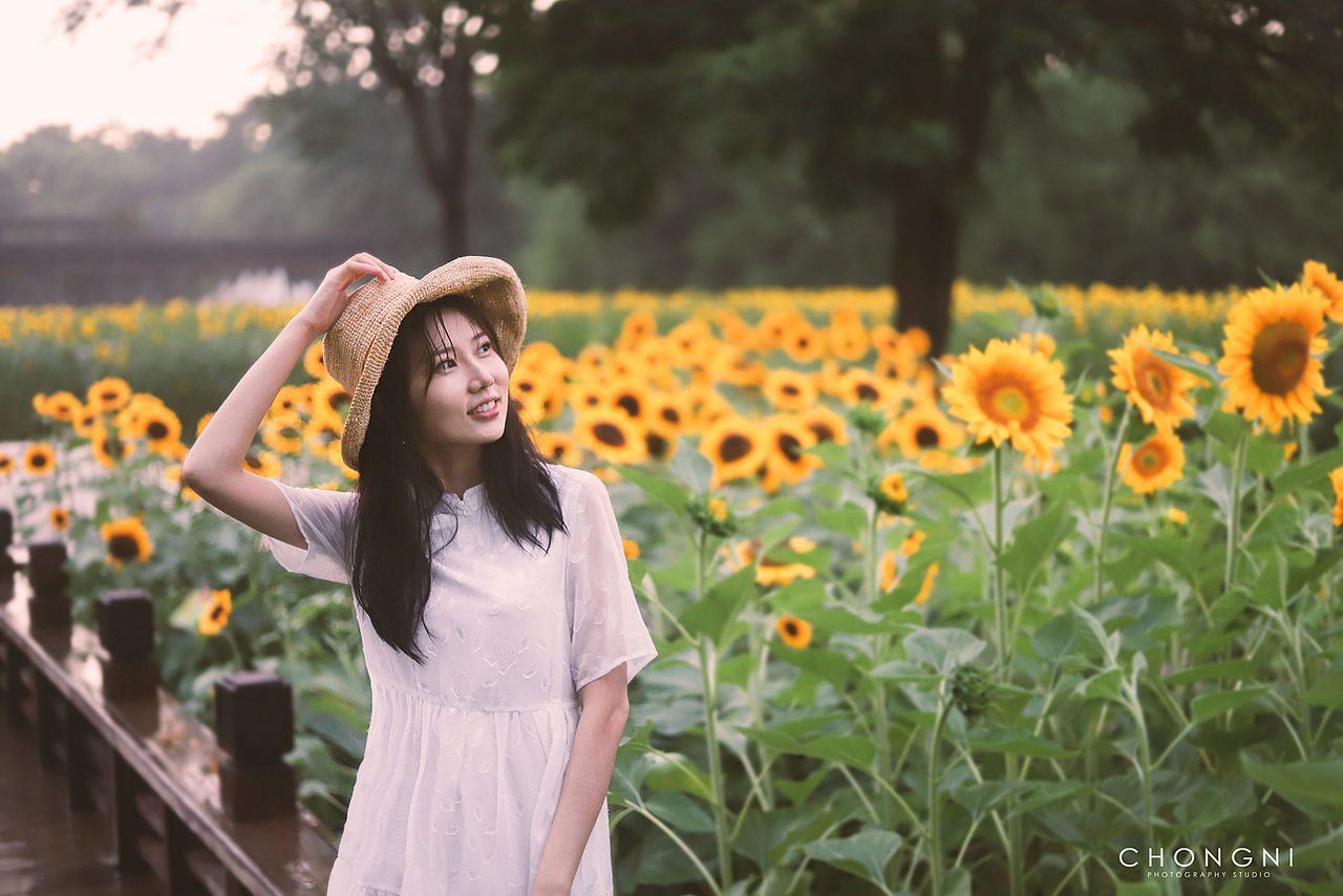这个季节,向日葵和你一样绽放美丽