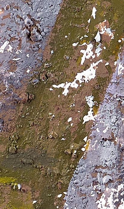 《木木》 布面油画 80.150厘米