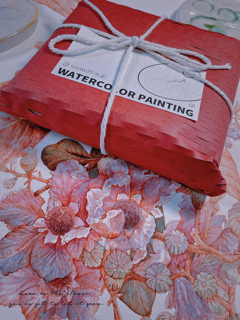 蘸水笔针管笔|大花紫薇