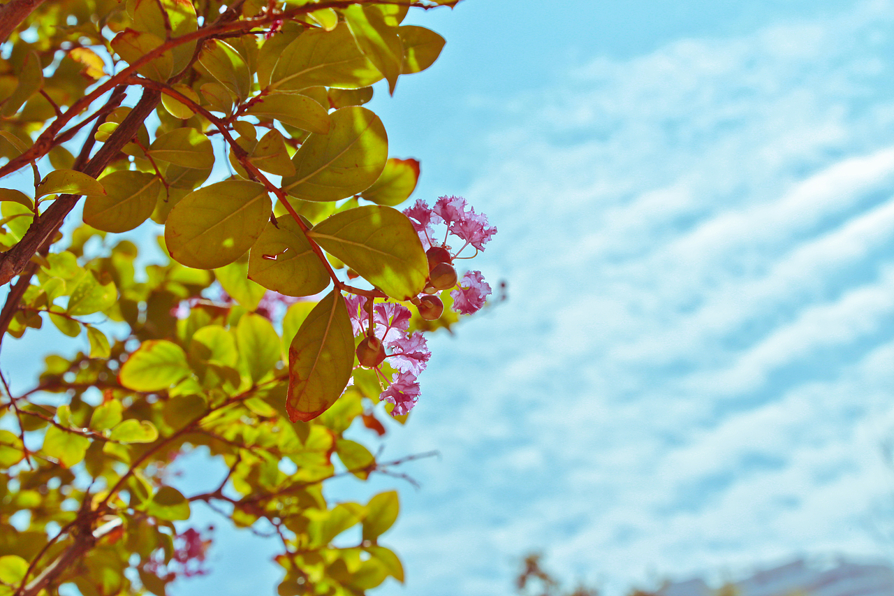 一次记录 一种状态 一段时光