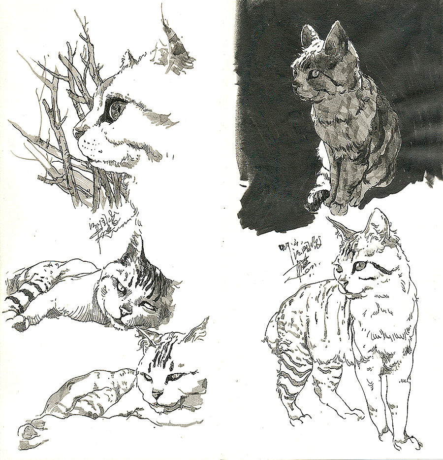 猫猫狗狗马马 ……小集（图ZOTg5NjA1NDQ=） - 绘画 - 站酷设计师DX_IDO原创素材 - 站酷ZCOOL