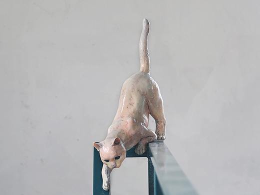 灵动小猫 与环境融合