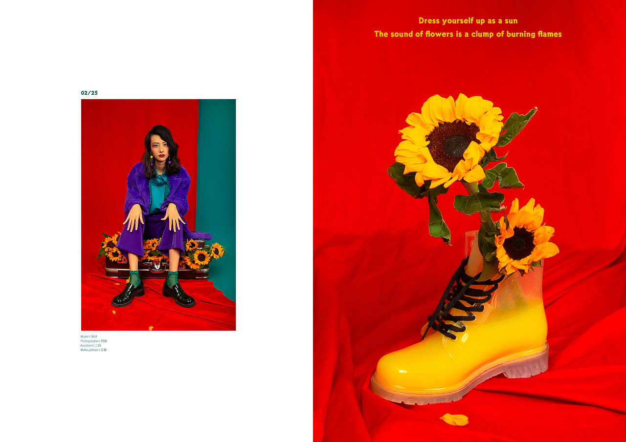 Poetic flower丨乘贰摄影