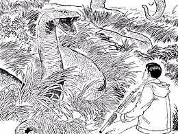 图书插画