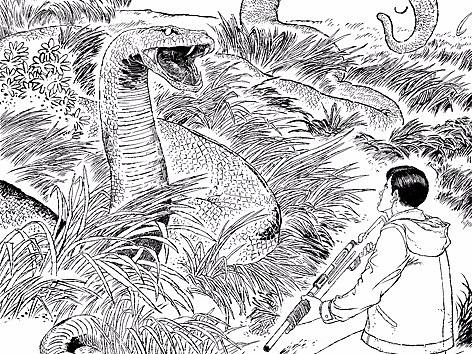 儿童插画绘本，图书插画，写实探险插画，写实漫画线稿