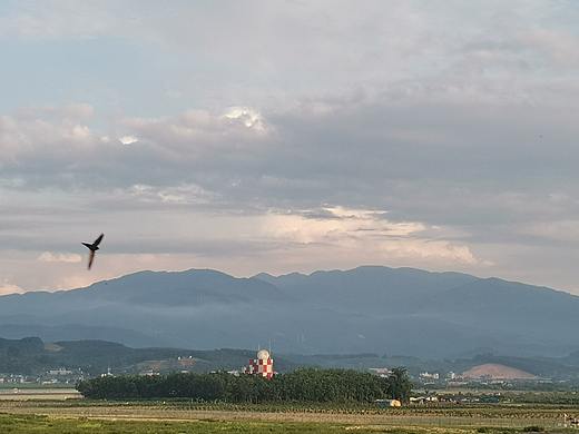 城市风景