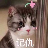 白狗闪亮会发光的头像