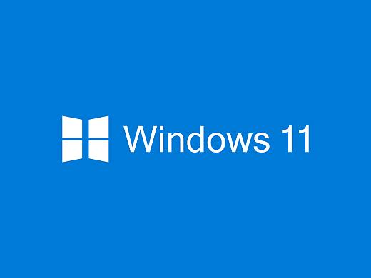 Windows 11 系统标识 丨 个人练习