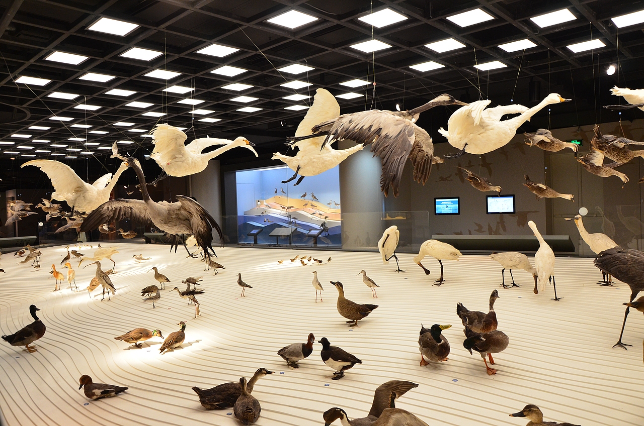 【摄影多图】上海自然博物馆一日游