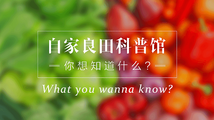 一些banner图（图ZMjg3NjY3NDQ=） - 运营设计 - 站酷设计师鲁铁原创素材 - 站酷ZCOOL