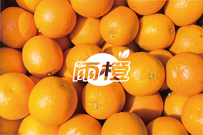 【雨橙】橙子品牌标志设计（图ZMzk5MDMxNTY=） - 品牌 - 站酷设计师徐羊飞原创素材 - 站酷ZCOOL