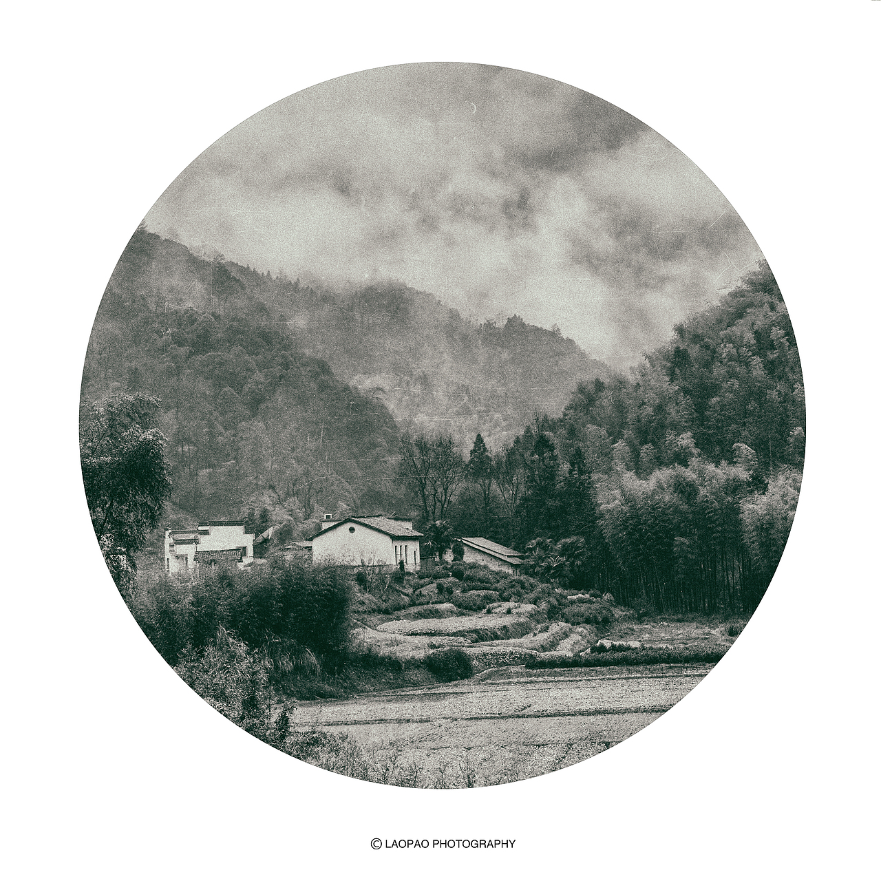 景，荷（图ZMjExNTk1MzQw） - 人文/纪实摄影 - 站酷设计师老炮叔叔原创素材 - 站酷ZCOOL