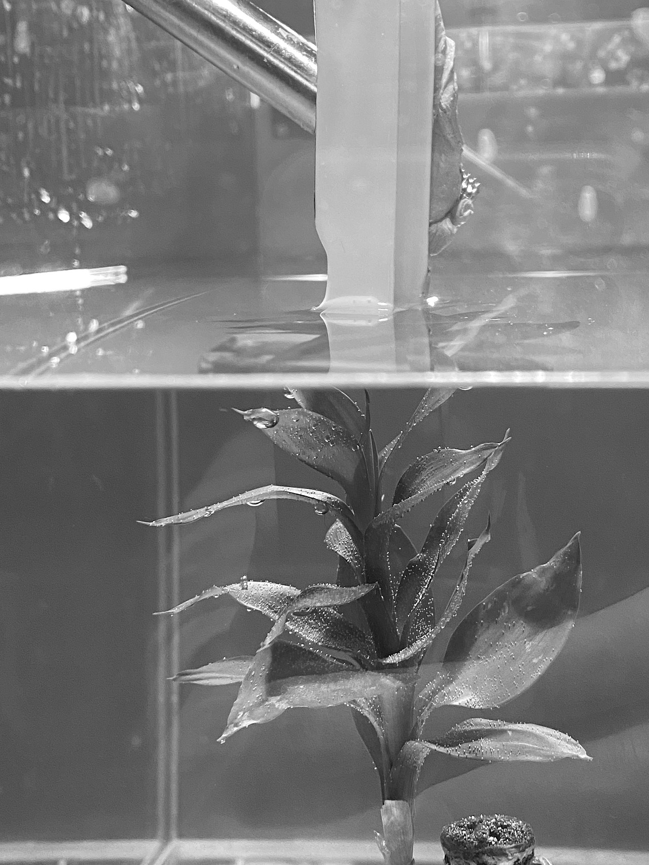 Ciracle｜稀拉克儿茶树控油洁肤乳（图ZMjgyMjM5NTA4） - 产品摄影 - 站酷设计师愚人斌原创素材 - 站酷ZCOOL