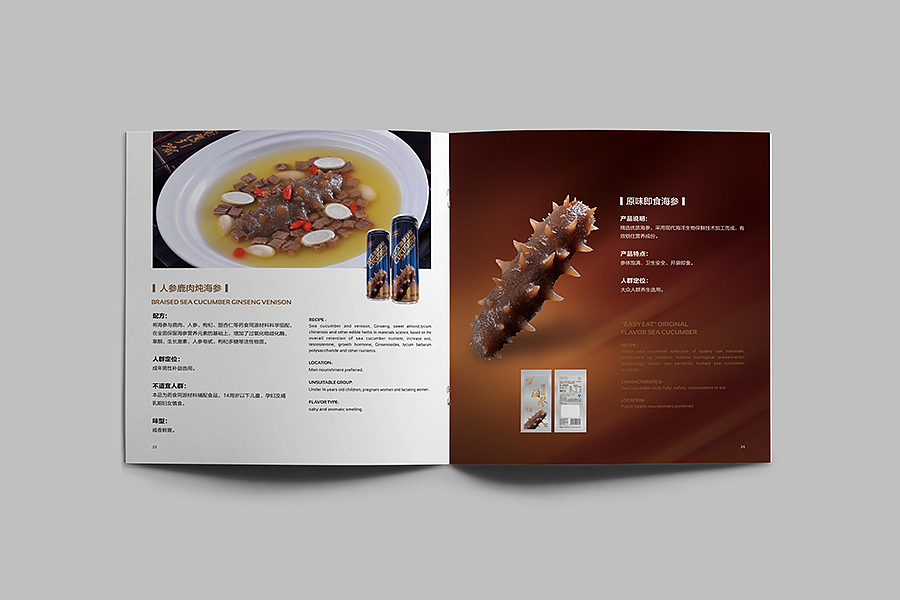 赛狮画册设计集合