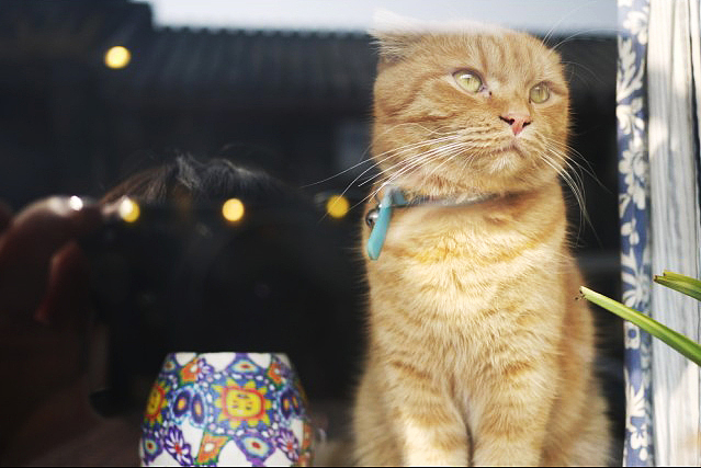 一些照片,没商业,拍着玩儿