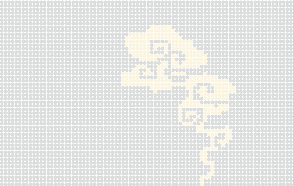 WJ.D 品牌、包装|元籽粒