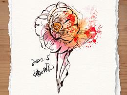 概念水彩花卉