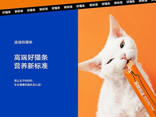宠物类目详情页x4 +聚划算页面