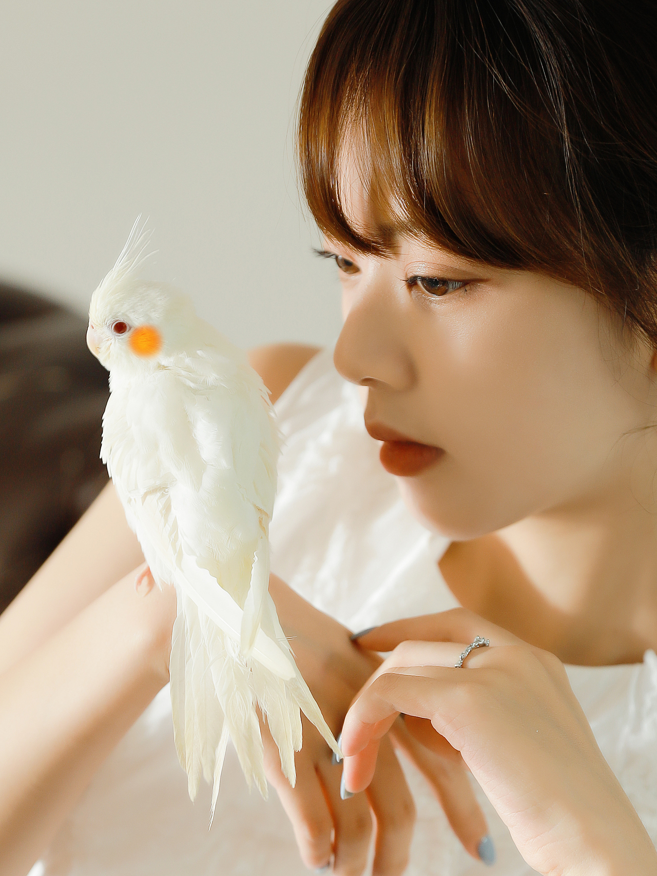 复古少女VS白子玄凤