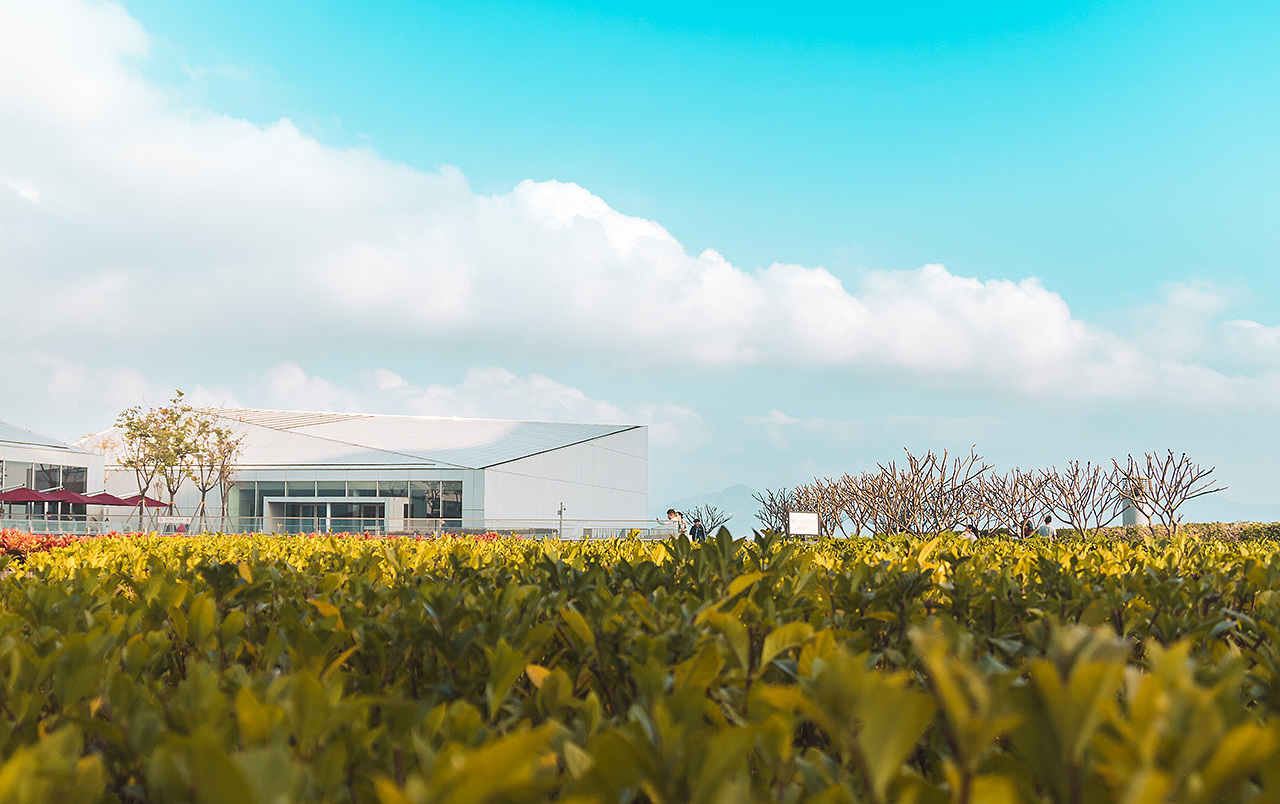 海上世界丨春节瞎逛游玩摄影(二)