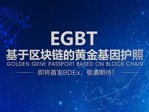 金块链海报