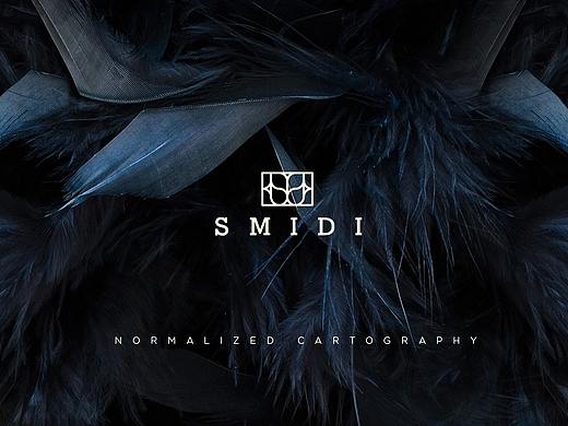 SMIDI内衣品牌设计