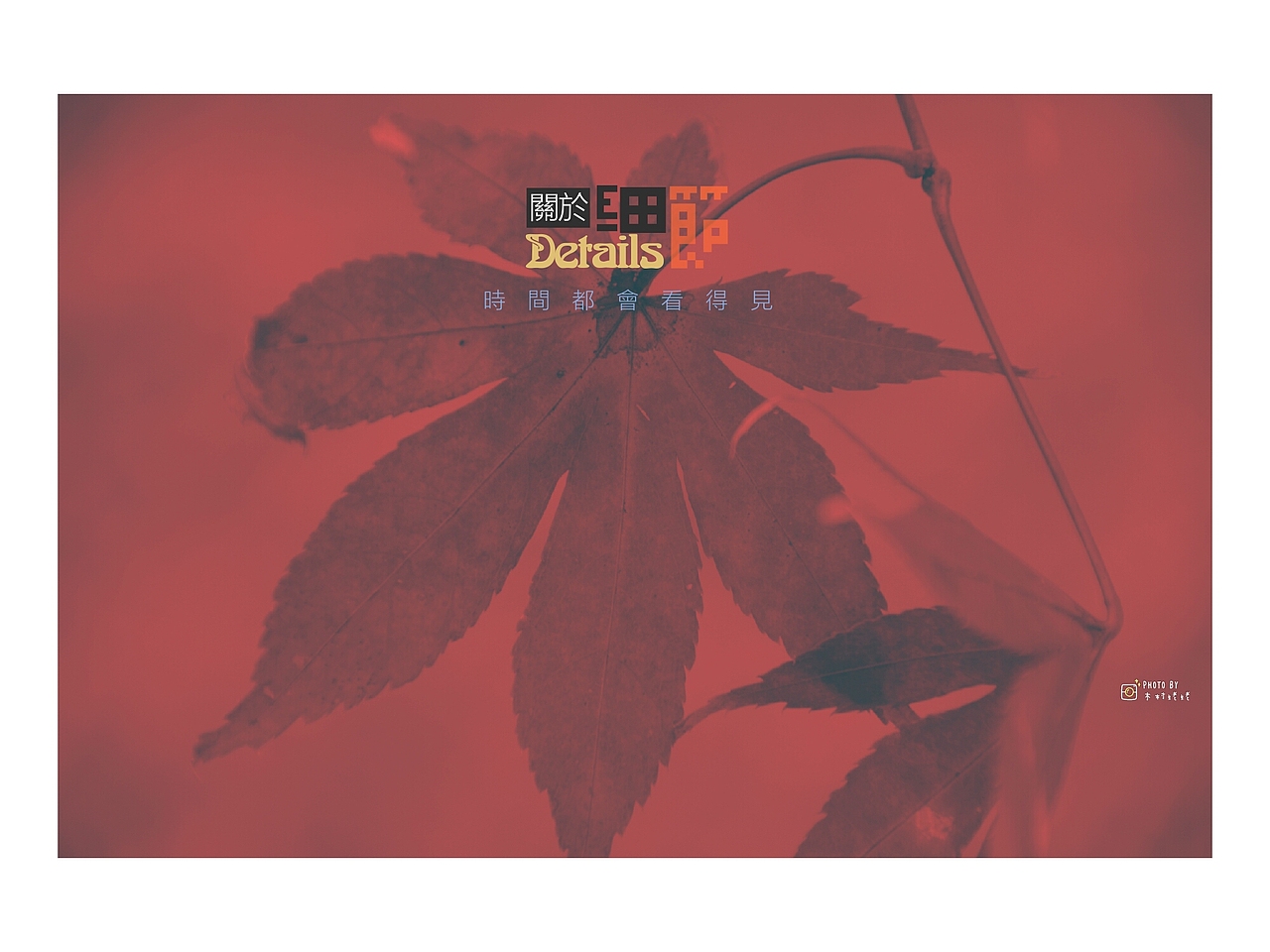 红枫叶（图ZOTgxNzQ4ODQ=） - 风光摄影 - 站酷设计师爱摄影的五花肉原创素材 - 站酷ZCOOL