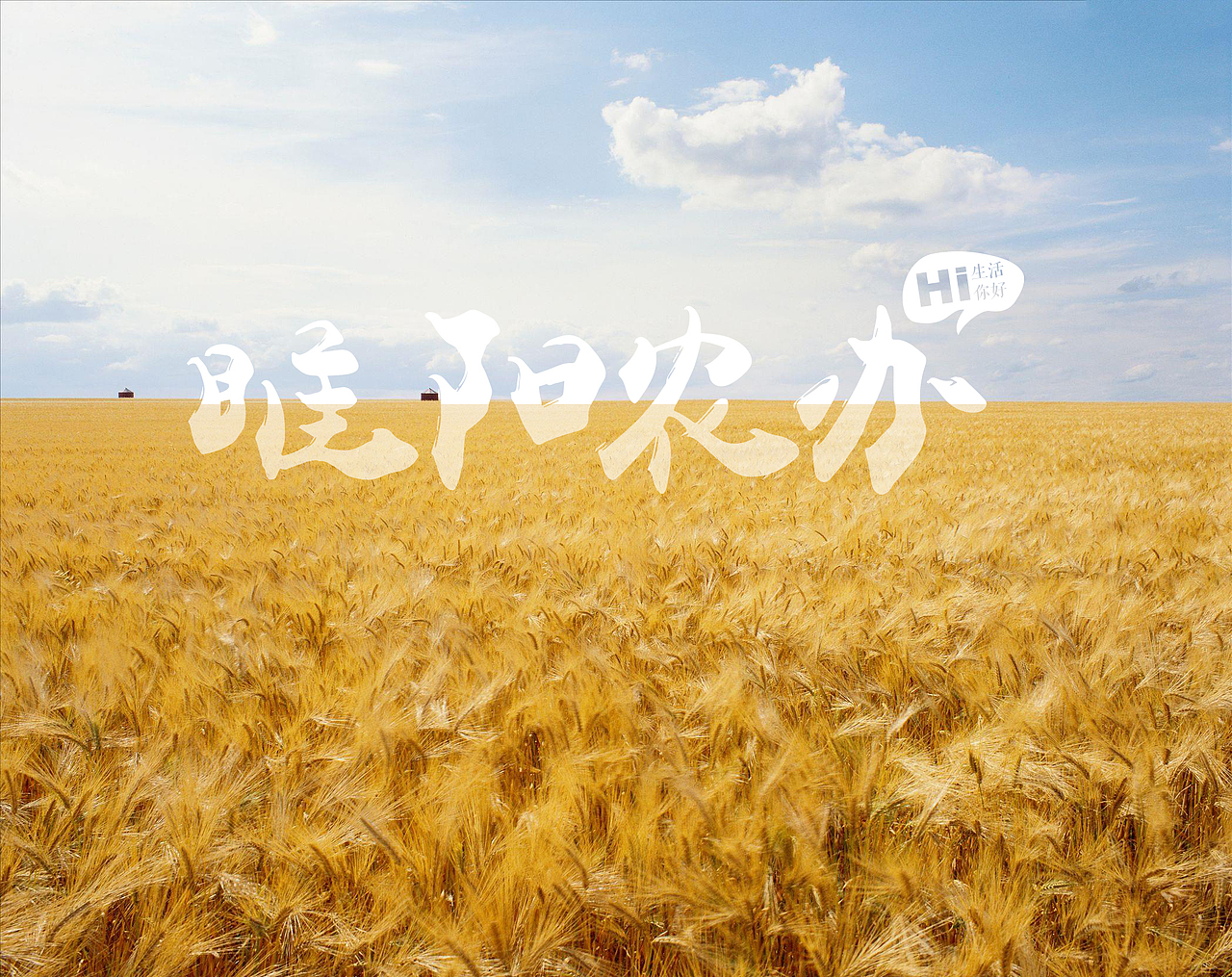 字体设计（图ZNjgyMzEzMDA=） - 字体/字形 - 站酷设计师时夏映画原创素材 - 站酷ZCOOL