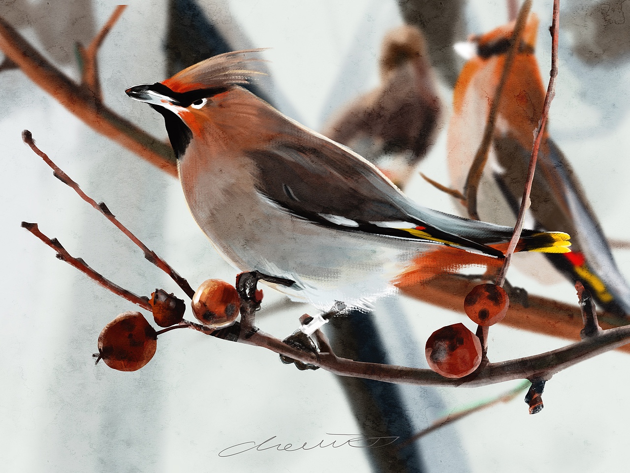 procreate人物动物画