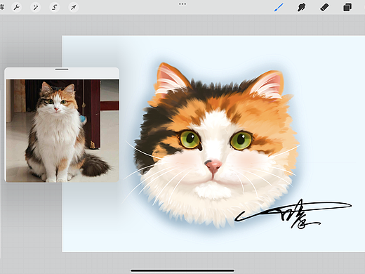 猫猫头像