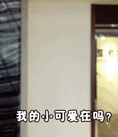 哈林熊表情包(真人)