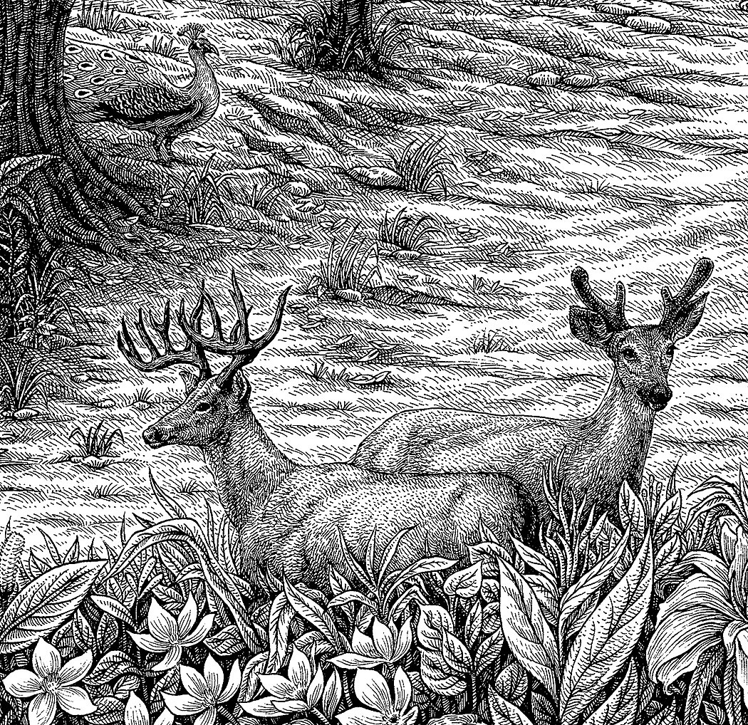 《七彩云南茶》手绘作品