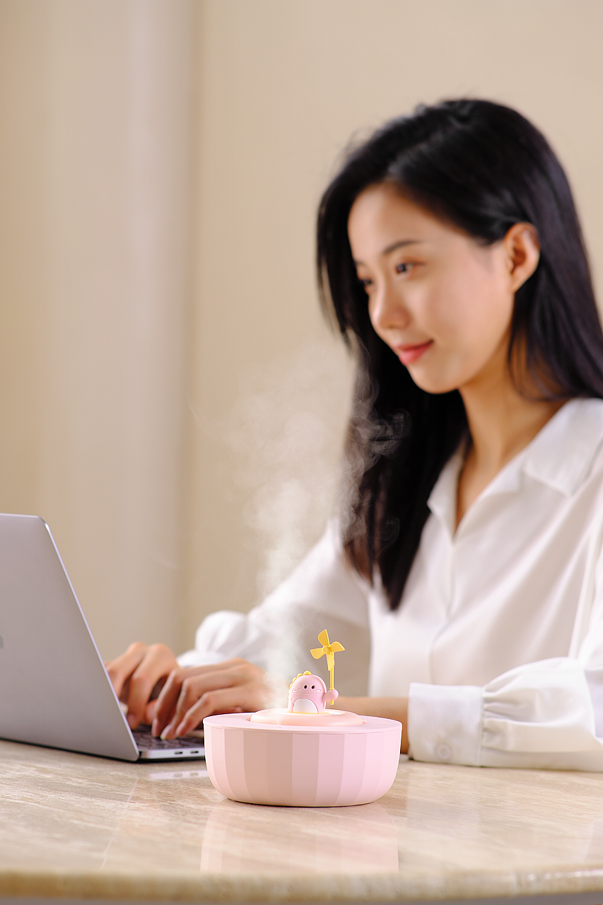 萌宠加湿器 X Soip