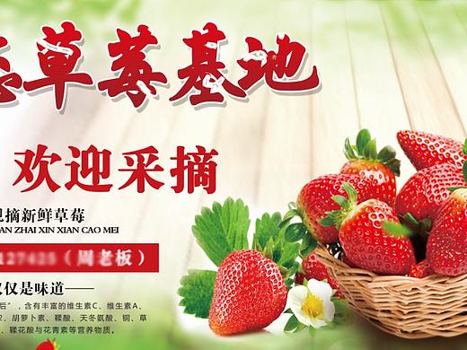 草莓采摘宣传
