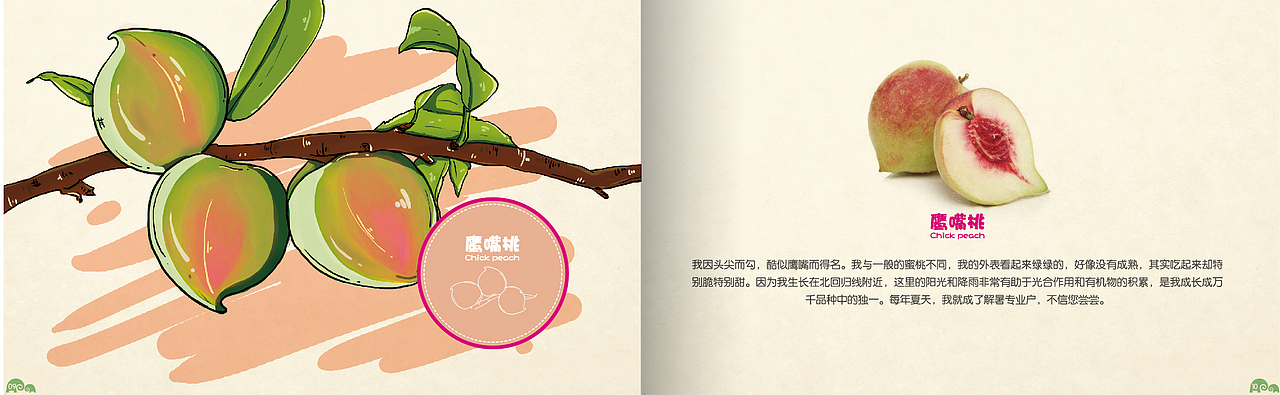 农产品手绘画册