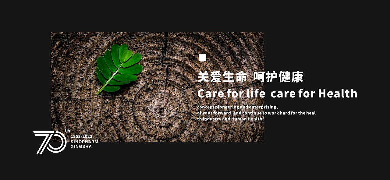 LOGO设计 | 国控星鲨LOGO&会徽设计