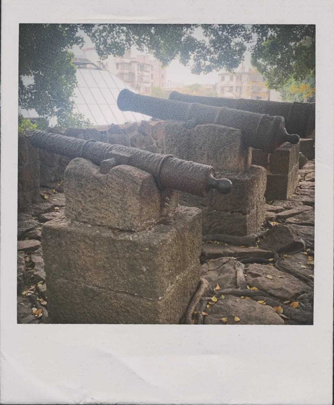 广州一个人好去处|南越王博物院(2/999)