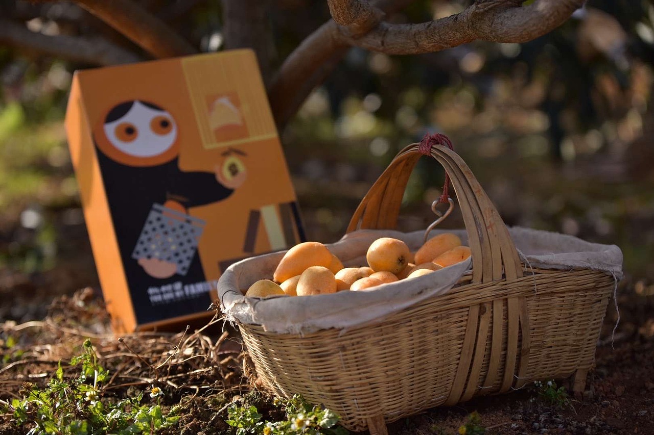 原创:手绘水果(枇杷果)包装设计