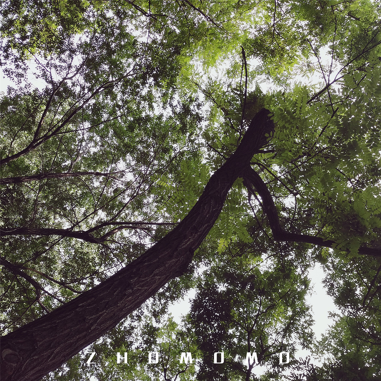 毕业穷游之山西站（图ZODU4MzU1MDQ=） - 风光摄影 - 站酷设计师ZHOMOMO原创素材 - 站酷ZCOOL