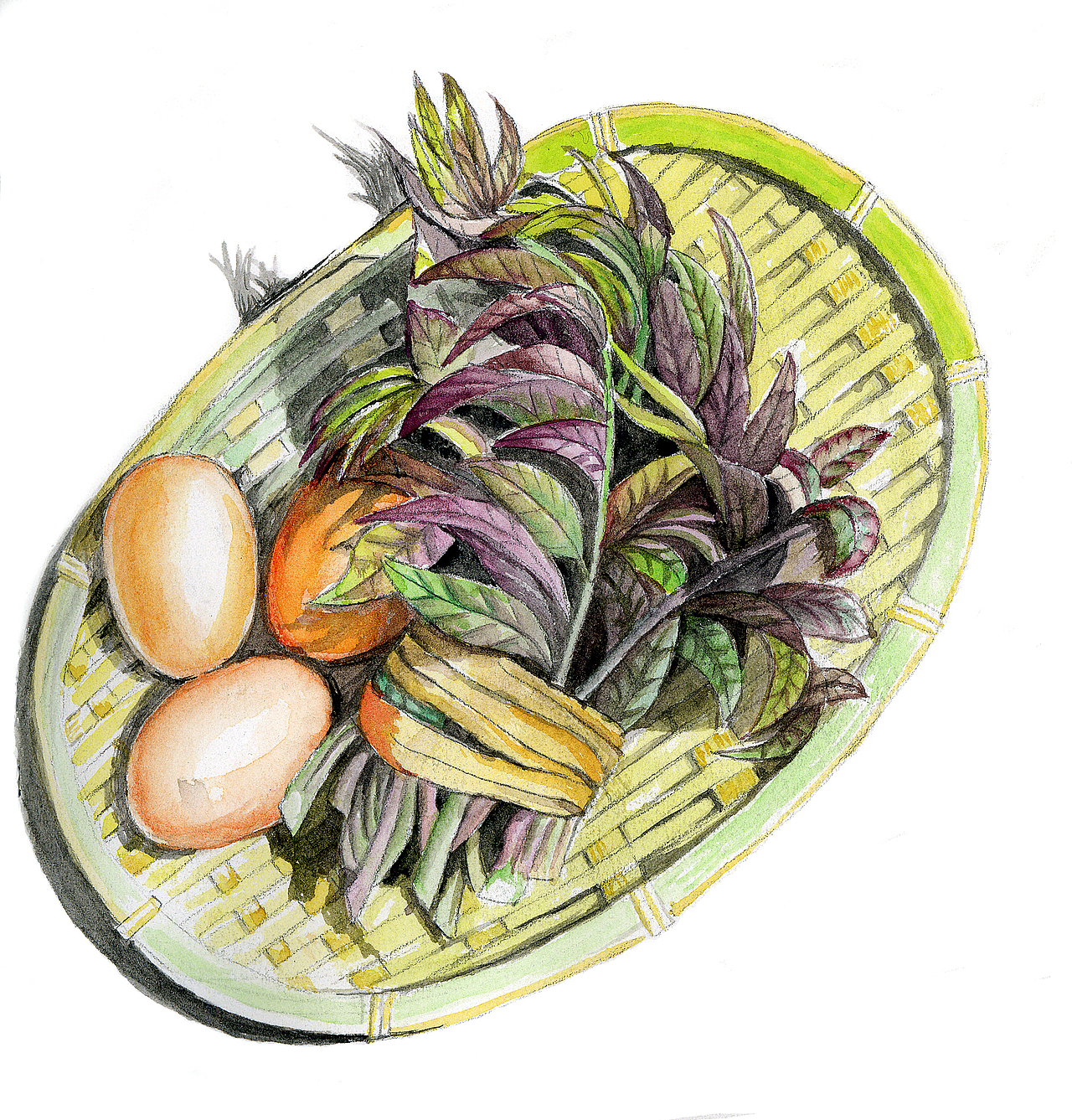 野菜小品——香椿头