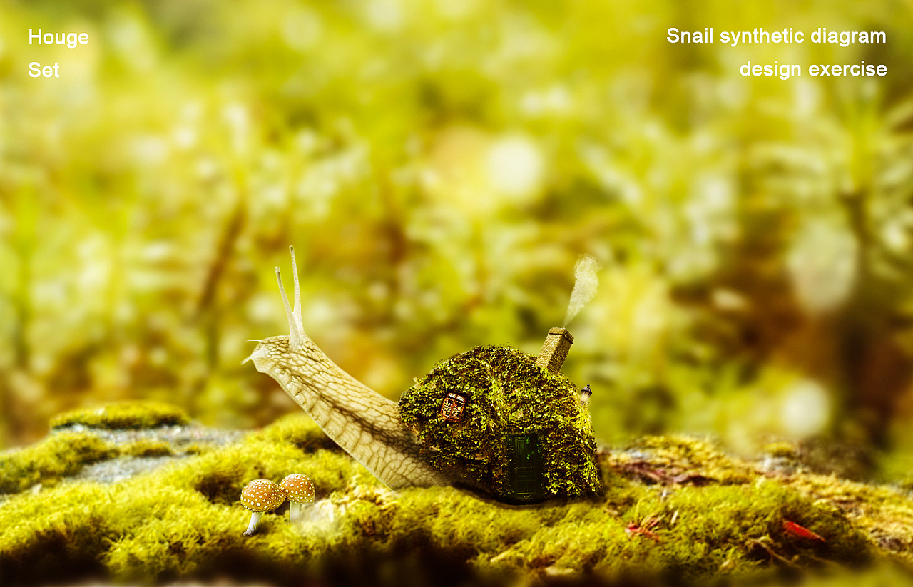 蜗牛合成图（图ZODc0MzA5NjQ=） - 运营设计 - 站酷设计师猴哥666原创素材 - 站酷ZCOOL