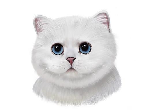 procreate 厚涂 猫 银渐层