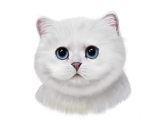 procreate 厚涂 猫 银渐层